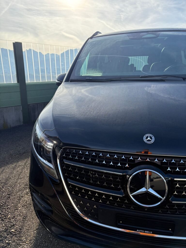 Luxury Chauffeur Services in Lyon with premium vehicle and professional driver by Tour Passion